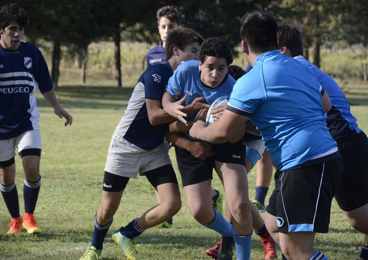 rusbyprimera 3